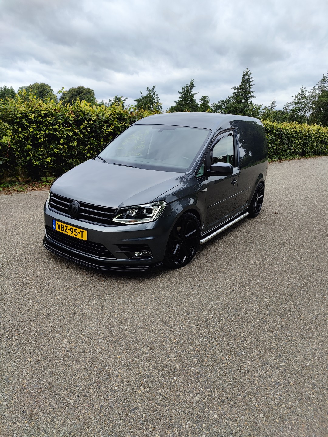 IMG20240823111630 (Groot)