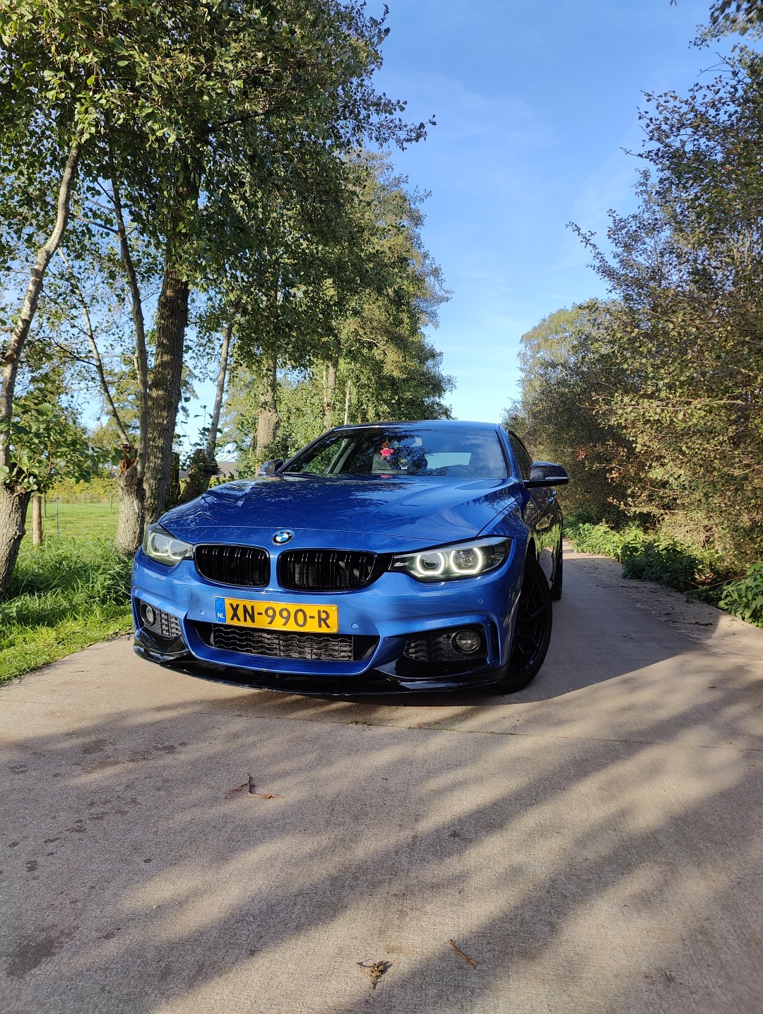 IMG20250924172401 (Groot)